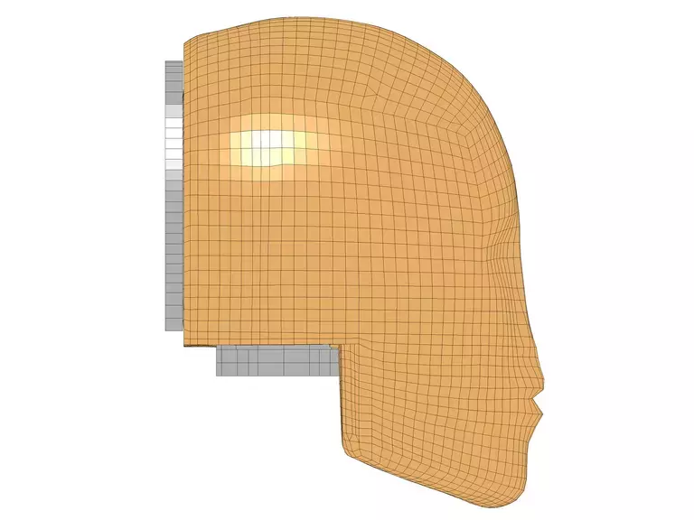 Continental Automotive  Testing Portfolio - Free Motion Headform