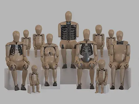 Family of next generation Anthropomorphic Test Devices, commonly known as Crash Test Dummies