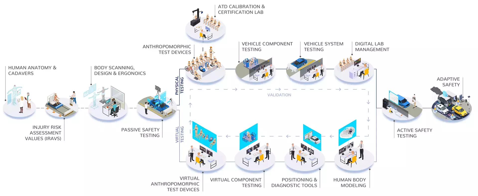 Infographic that shows the ecosystem of developing vehicle safety technology and testing safety technology.