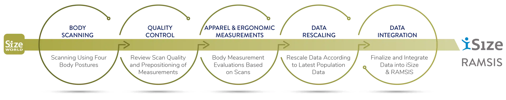 Data process for body survey